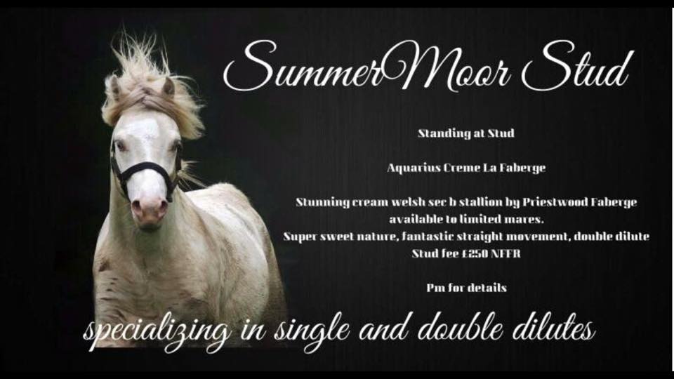 Summer Moor Equine Transport and Stud Farm